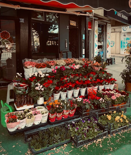An outdoor floral display in front of a shop features a variety of fresh flowers arranged in white, red, and pink buckets, including roses, tulips, and chrysanthemums, with some small potted plants an